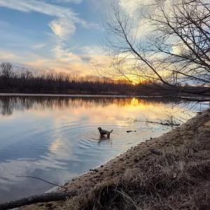 Photo #94 of 5050 Falkland Road, Scottsburg, VA 159.2 acres