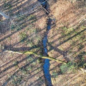 Photo #76 of 5050 Falkland Road, Scottsburg, VA 159.2 acres