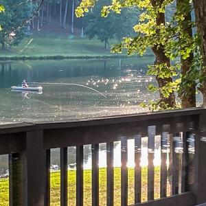 Photo #83 of 409 Lake Vista Drive, Forest, VA 1.0 acres