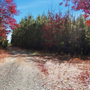 Photo #40 of 1690 Poorhouse Creek Road, Appomattox, VA 25.5 acres