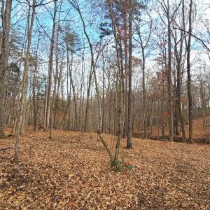 Photo #48 of 103 Brockenbrough Place, Forest, VA 2.4 acres