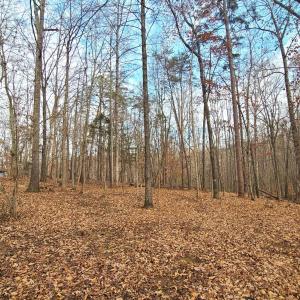 Photo #55 of 103 Brockenbrough Place, Forest, VA 2.4 acres