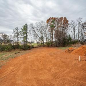 Photo #23 of 1127 Live Oak Court, Forest, VA 0.5 acres