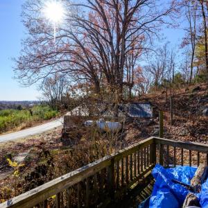 Photo #8 of 389 Ambrose Rucker Road, Monroe, VA 8.6 acres