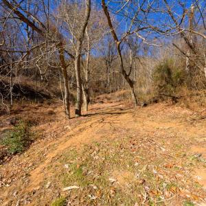 Photo #47 of 389 Ambrose Rucker Road, Monroe, VA 8.6 acres