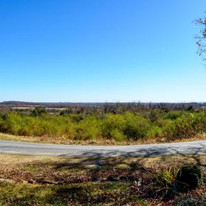 Photo #55 of 389 Ambrose Rucker Road, Monroe, VA 8.6 acres