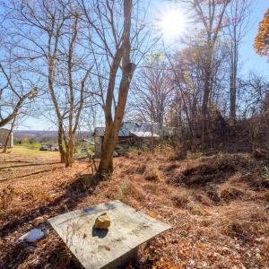 Photo #48 of 389 Ambrose Rucker Road, Monroe, VA 8.6 acres