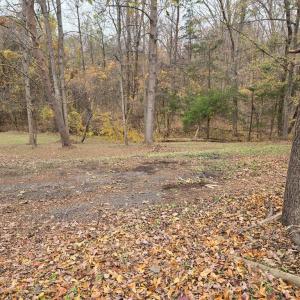 Photo #2 of 1700 Ward Street, Farmville, VA 12.3 acres