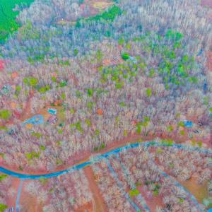 Photo #45 of 3608 Bear Creek Road, Rustburg, VA 11.7 acres