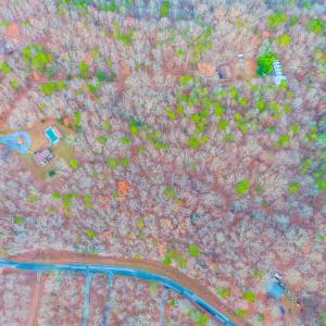 Photo #47 of 3608 Bear Creek Road, Rustburg, VA 11.7 acres