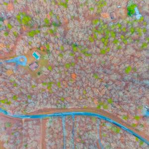 Photo #46 of 3608 Bear Creek Road, Rustburg, VA 11.7 acres