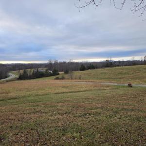 Photo #4 of 15917 Moneta Road, Moneta, VA 3.2 acres