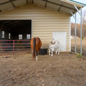 Photo #85 of 7585 Peaks Road, Bedford, VA 6.0 acres