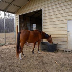 Photo #86 of 7585 Peaks Road, Bedford, VA 6.0 acres