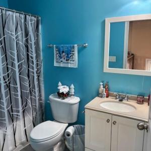 Photo #12 of 104 Creston Oaks Court, Forest, VA 0.2 acres