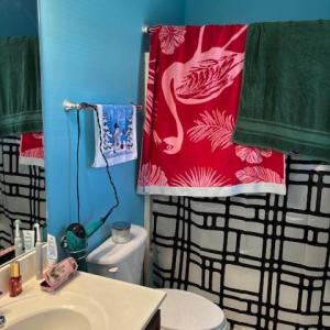 Photo #14 of 104 Creston Oaks Court, Forest, VA 0.2 acres