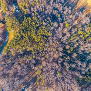 Photo #66 of 1510 Beacon Hill Rd A, Afton, VA 7.7 acres