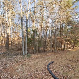 Photo #57 of 1510 Beacon Hill Rd A, Afton, VA 7.7 acres