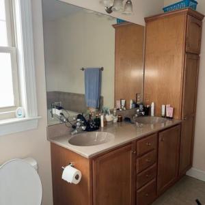 Photo #30 of 193 Stoney Creek Drive, Madison Heights, VA 1.5 acres