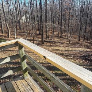 Photo #19 of 447 Matohe Road, Monroe, VA 2.1 acres