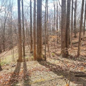Photo #20 of 447 Matohe Road, Monroe, VA 2.1 acres