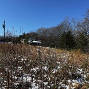 Photo #20 of 1796 Owens Mill Rd, Gretna, VA 5.4 acres