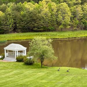 Photo #35 of 7821 Bellevue Road, Forest, VA 11.2 acres