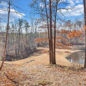 Photo #94 of 780 Dry Bridge Road, Farmville, VA 100.6 acres