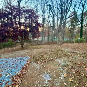 Photo #59 of 3929 Moorman Drive, Lynchburg, VA 1.0 acres