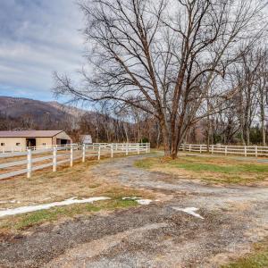 Photo #44 of 150 Terrapin Station Lane, Monroe, VA 20.1 acres