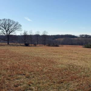 Photo #22 of 2779 Oakville Road, Appomattox, VA 14.5 acres