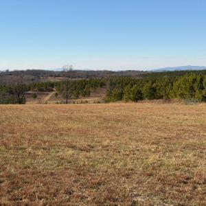 Photo #21 of 2779 Oakville Road, Appomattox, VA 14.5 acres