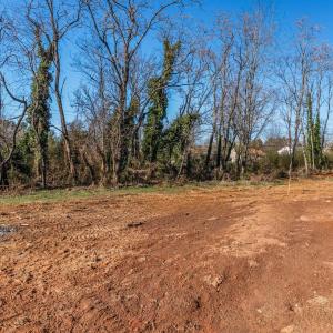 Photo #30 of 3 Thomas Jefferson Road, Forest, VA 0.6 acres