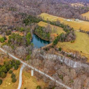 Photo #45 of 185 Wild Rose Ln, Monroe, VA 48.7 acres