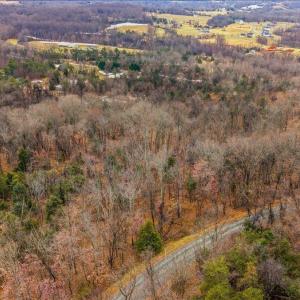 Photo #50 of 185 Wild Rose Ln, Monroe, VA 48.7 acres