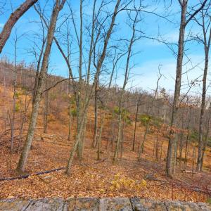 Photo #57 of 5130 Turnpike Road, Lexington, VA 104.0 acres