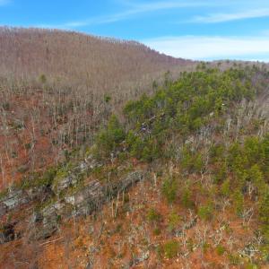 Photo #59 of 5130 Turnpike Road, Lexington, VA 104.0 acres