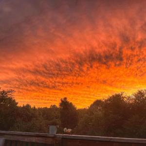 Photo #30 of 2229 Cedar Gate Rd, Madison Heights, VA 0.7 acres