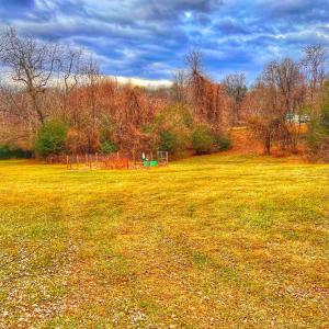 Photo #43 of 2229 Cedar Gate Rd, Madison Heights, VA 0.7 acres