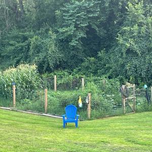 Photo #39 of 2229 Cedar Gate Rd, Madison Heights, VA 0.7 acres