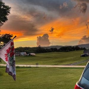 Photo #41 of 2229 Cedar Gate Rd, Madison Heights, VA 0.7 acres