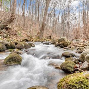 Photo #4 of 1138 Recess Circle, Big Island, VA 2.9 acres
