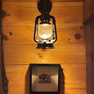 Photo #79 of 1138 Recess Circle, Big Island, VA 2.9 acres