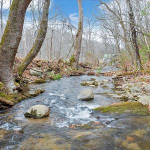 Photo #71 of 1138 Recess Circle, Big Island, VA 2.9 acres