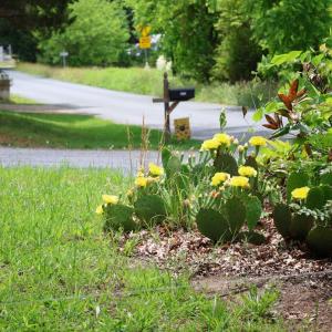 Photo #42 of 3741 Lowry Road, Goode, VA 1.0 acres