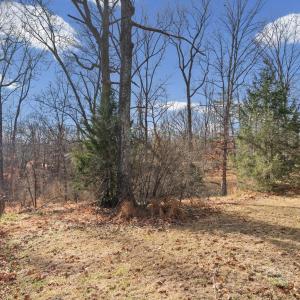 Photo #25 of 2134 Woodcrest Drive, Lynchburg, VA 0.9 acres
