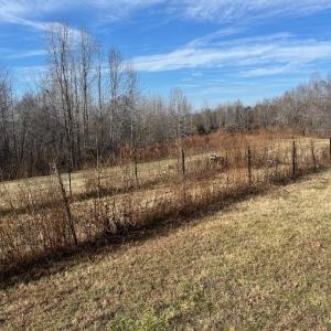 Photo #4 of 1140 Stovall Trail, Halifax, VA 15.2 acres