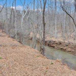 Photo #60 of 3432 Ivylink Place, Lynchburg, VA 0.7 acres