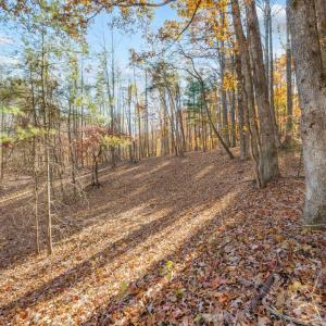 Photo #90 of 170 Fairystone Church Loop, Stuart, VA 28.8 acres