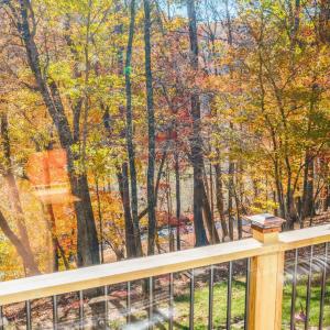 Photo #12 of 170 Fairystone Church Loop, Stuart, VA 28.8 acres